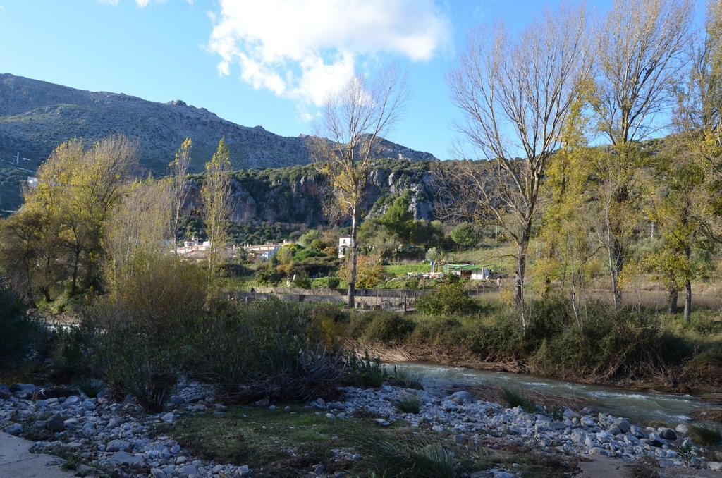 Villa Cristina Benaoján Pokój zdjęcie