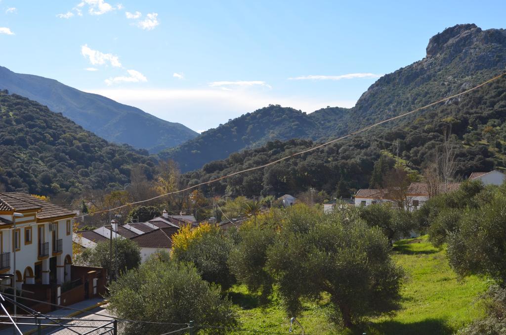 Villa Cristina Benaoján Zewnętrze zdjęcie