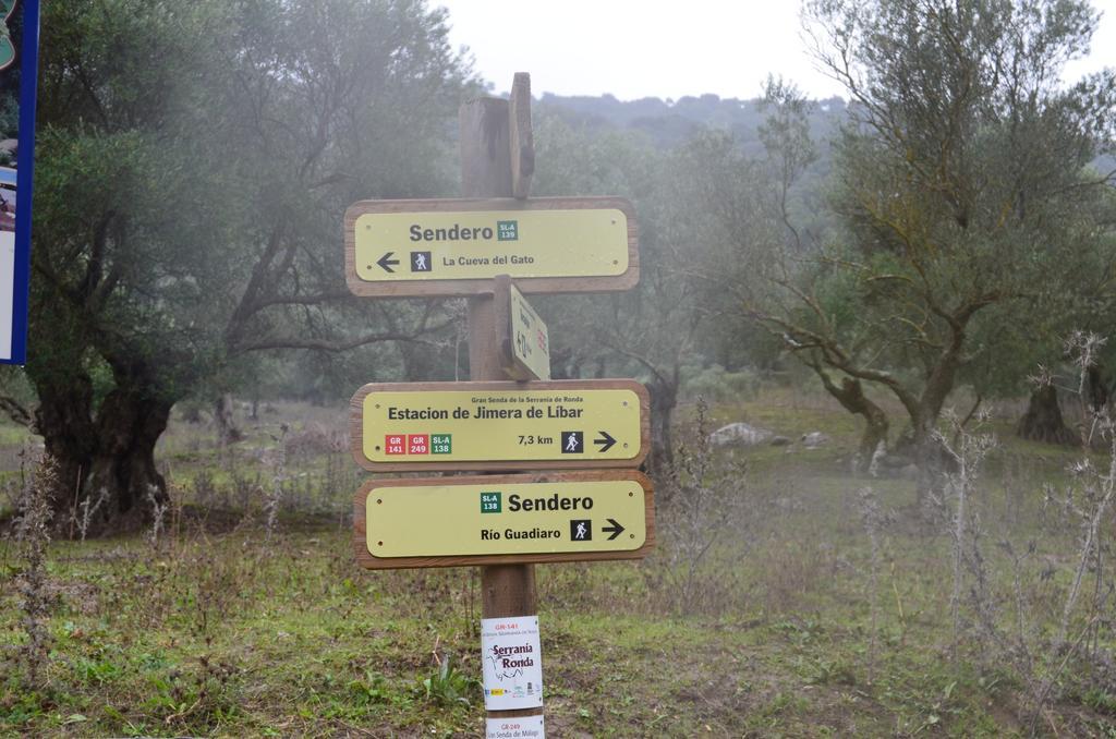 Villa Cristina Benaoján Zewnętrze zdjęcie